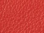 Scarlet