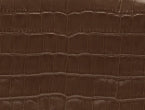 Cocoa Croc