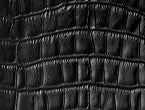 Black Croc