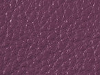 Deep Plum