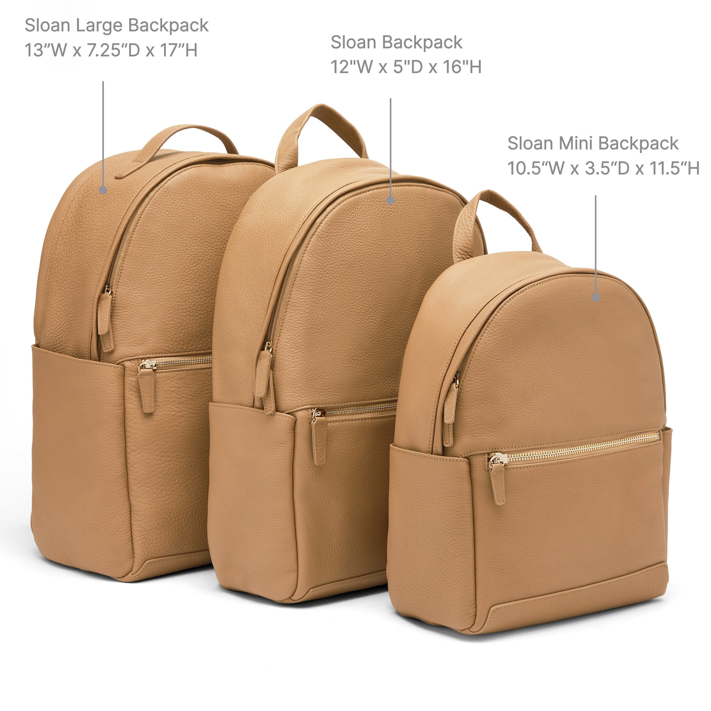 chester faux leather backpack sole society Sloan Backpack