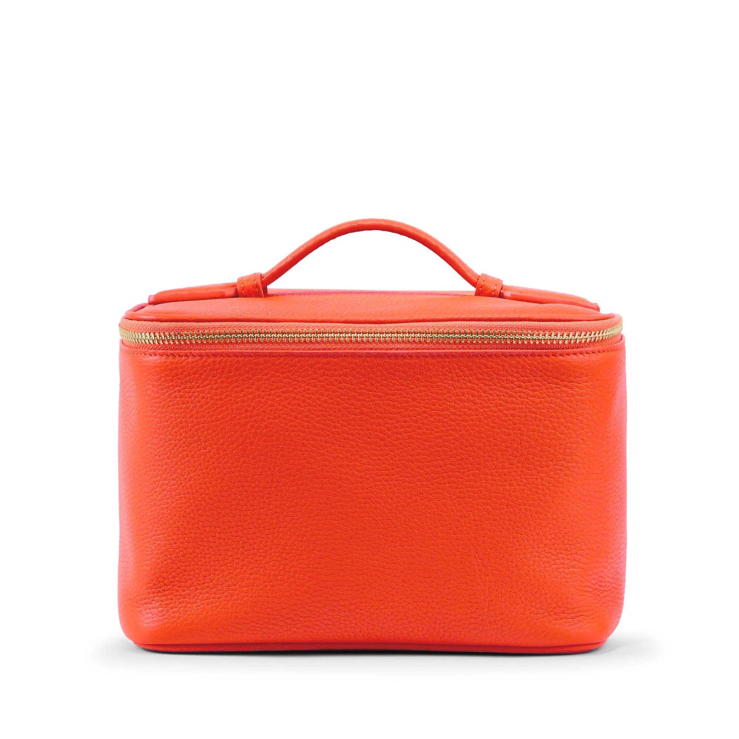 Small-Train-Case-Clementine-642-412